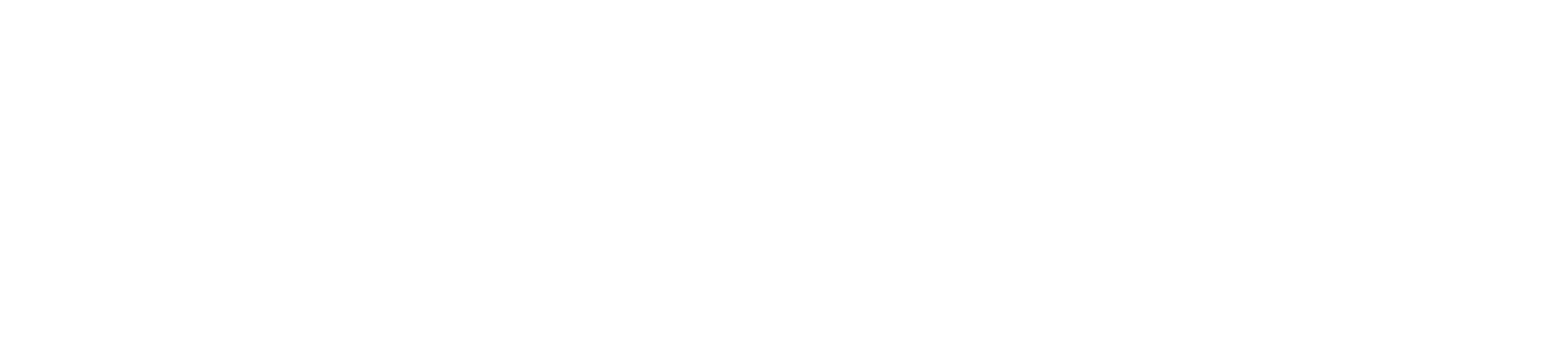 zuma logo blanco